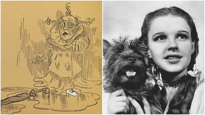800x450 The Original Novel The Wonderful Wizard Of Oz Was Actually - Dorothy Wizard Of Oz Drawing