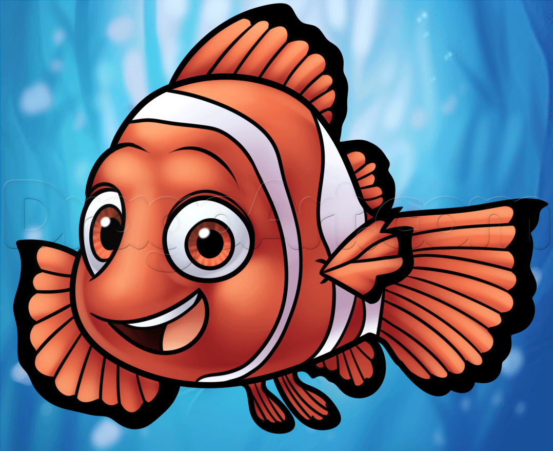 1078x878 how to draw nemo from finding dory, step - Dory And Nemo Drawing