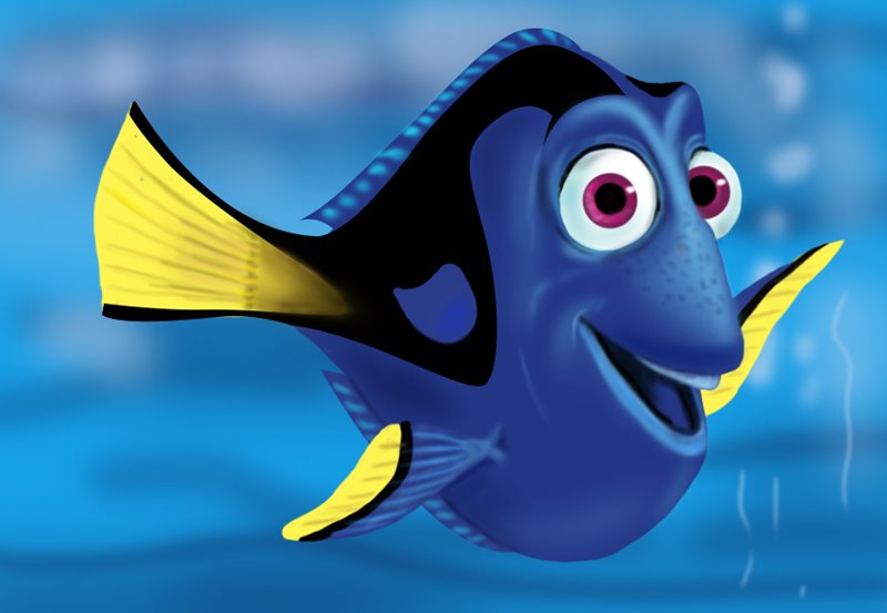 800x553 learn how to draw dory from finding nemo - Dory And Nemo Drawing
