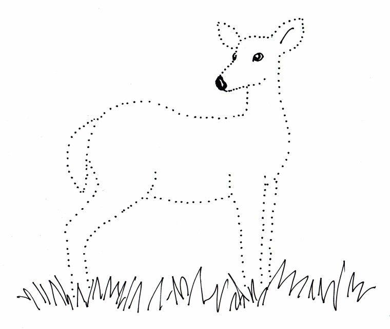 760x642 deer dot drawing - Dot Drawing