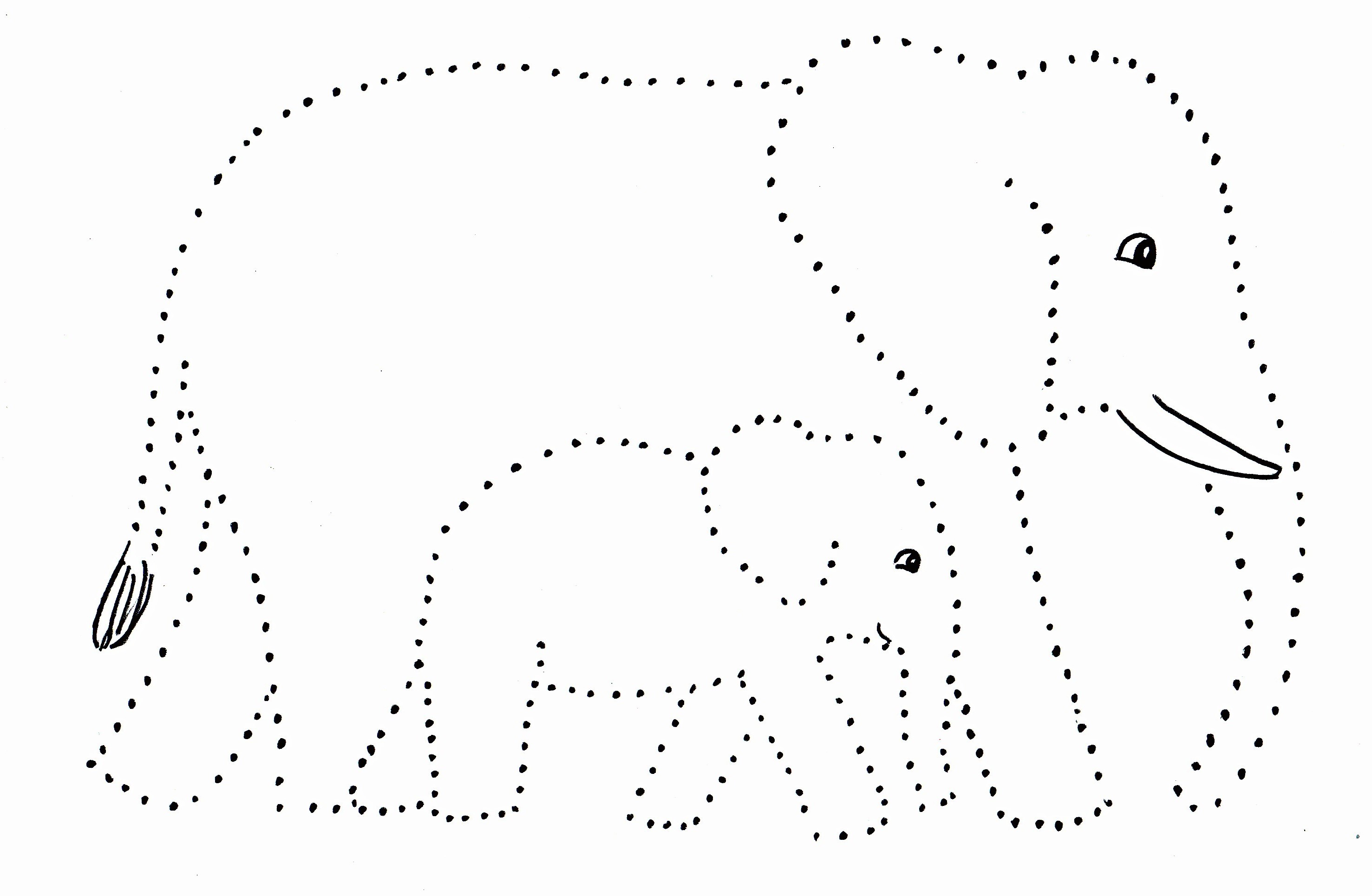 2954x1930 dot drawings - Dot Drawing