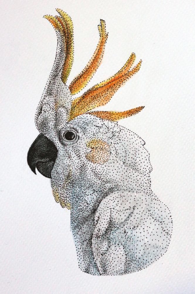 665x1000 Parrot Colored Drawing Made Of Dots - Dot Drawing