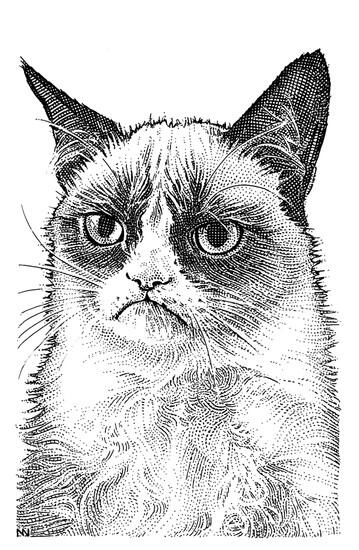 359x550 rachel louise ensign on twitter dot drawing of the year winner - Dot Drawing