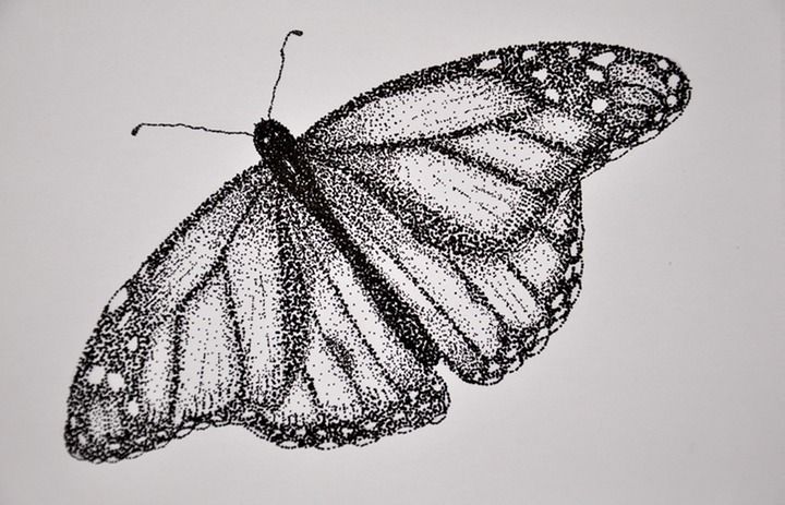720x463 stippling assignment have students pick out an insect or animal - Dot Drawing