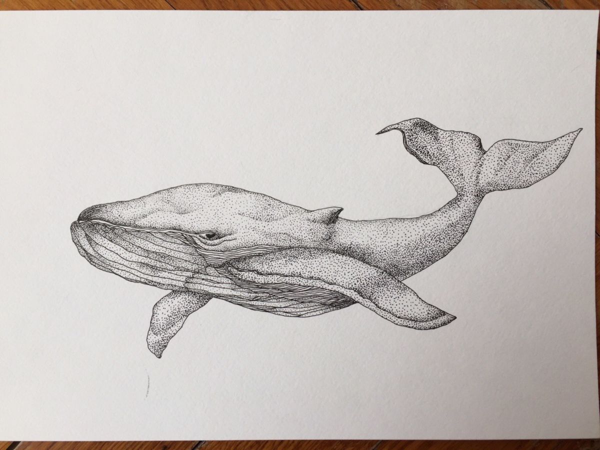 1200x900 dot drawing - Dot Drawing