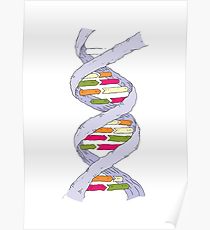210x230 Double Helix Drawing Posters Redbubble - Double Helix Drawing