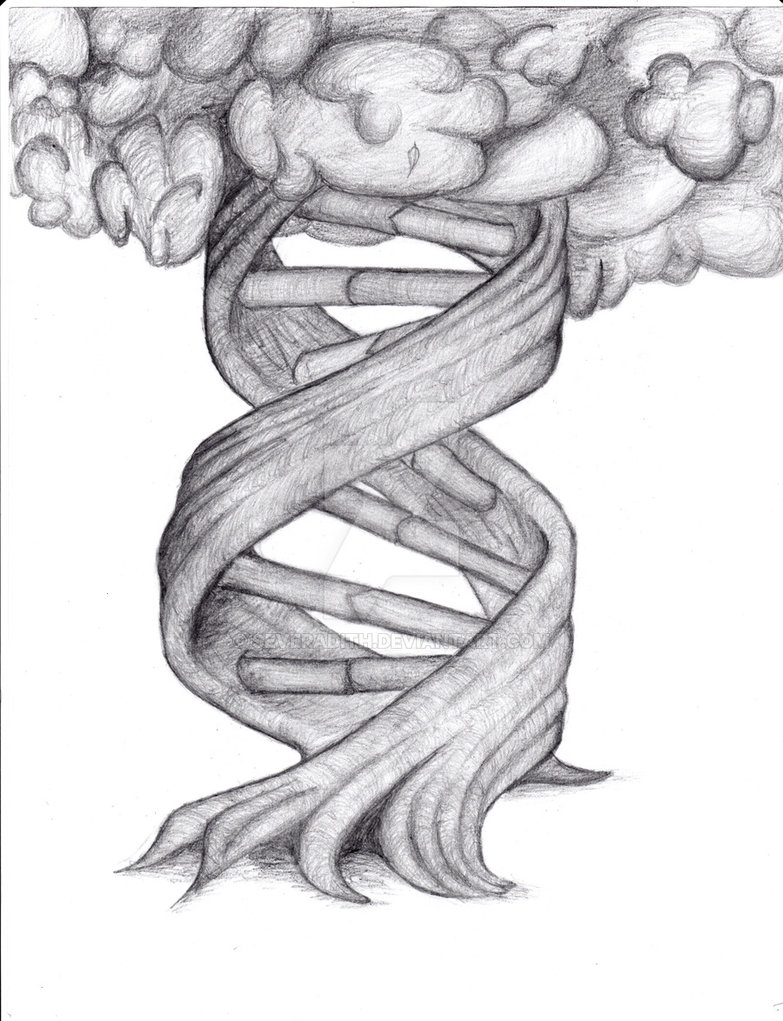Double Helix Drawing at Explore collection of