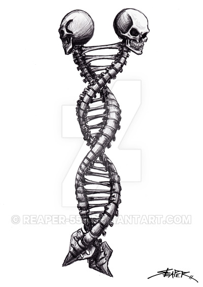 400x566 Double Helix - Double Helix Drawing