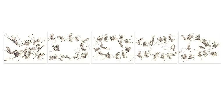 770x333 Saatchi Art Double Helix Drawing - Double Helix Drawing