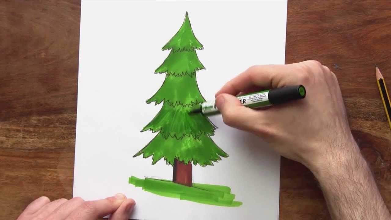 1280x720 How To Draw A Cartoon Fir Tree - Douglas Fir Drawing