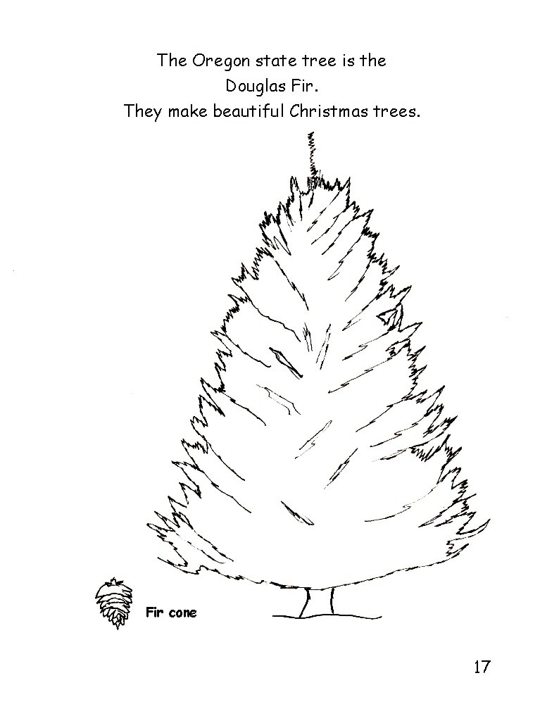 794x1034 Fir - Douglas Fir Tree Drawing