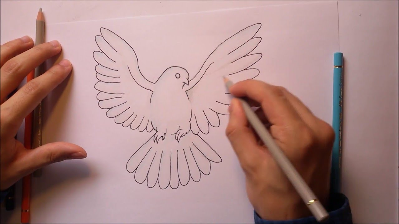 1280x720 How To Draw A Dove White Pigeon - Dove Bird Drawing