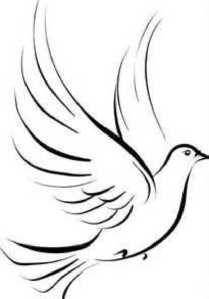 410x587 Bird Drawing Simple Or Simple Dove Sketch Drawings - Dove Bird Drawing