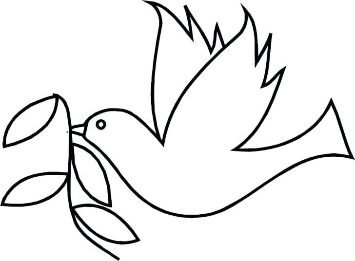 728x536 Dove Bird Coloring - Dove Bird Drawing