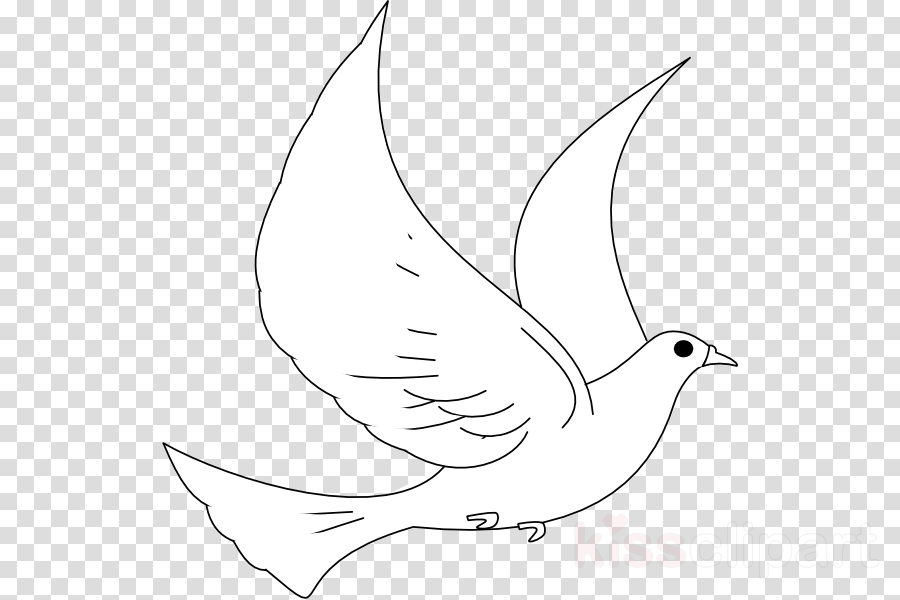900x600 Bird, Turtle, Nose, Transparent Png Image Clipart Free Download - Dove Cartoon Drawing