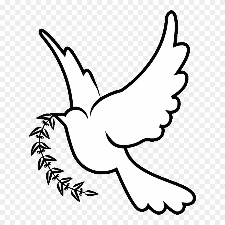 880x880 Doves Drawing Png - Dove Drawing