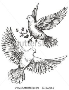 236x310 best geometrical art patterns images in cute drawings - Dove Drawing