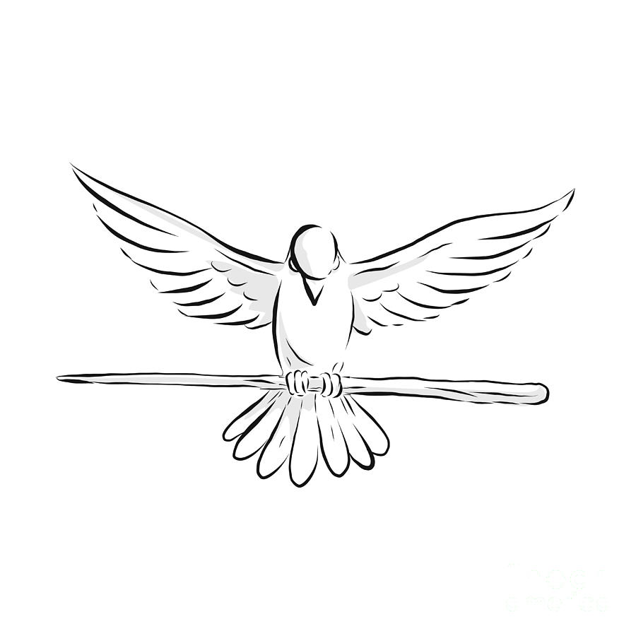 900x900 Soaring Dove Clutching Staff Front Drawing Digital Art - Dove Drawing