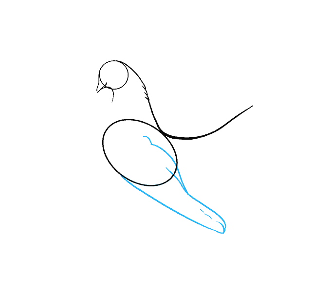 678x600 How To Draw A Dove In A Few Easy Steps Easy Drawing Guides - Dove Drawing Images