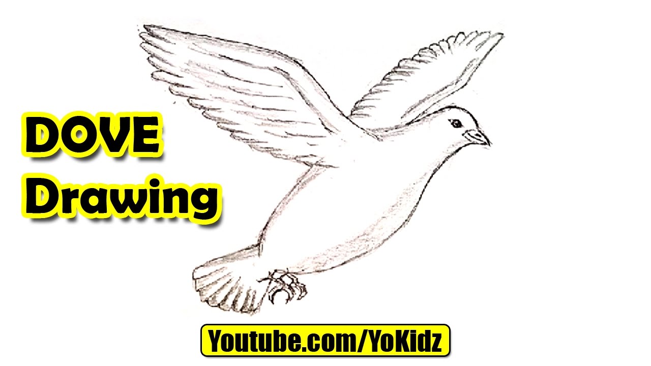 1280x720 How To Draw A Dove - Dove Drawing Images