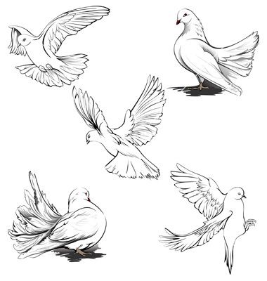 380x400 Quilts In Dove Tattoo Design, Bird - Dove Drawing Images
