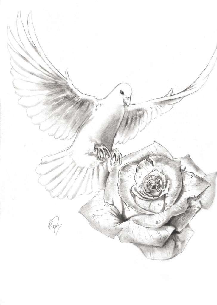 728x1024 Dove Drawing Couple For Free Download - Dove Drawing Images