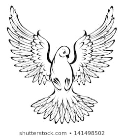 252x280 Dove Drawing - Dove Drawing Images