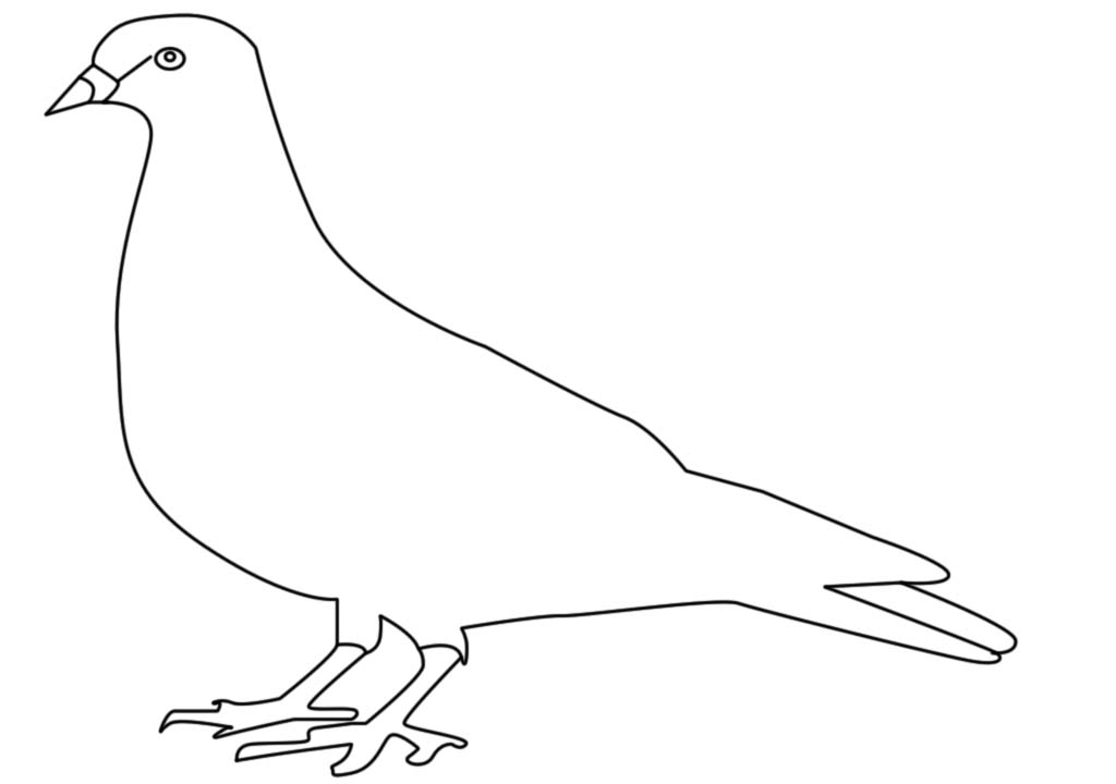 How To Drawing A Dove - Dove Drawing Outline. 