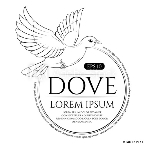 500x500 Outline Flying Dove Isolated On White Background Vector - Dove Drawing Outline