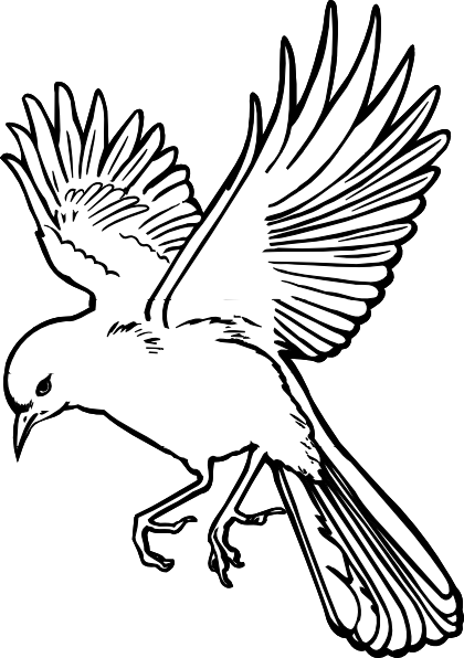 420x596 Dove Drawings Dove Clip Art Tatskajudui Bird Drawings - Dove Drawing Outline