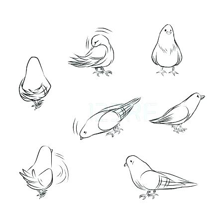 Dove Drawing Outline at PaintingValley.com | Explore collection of Dove ...