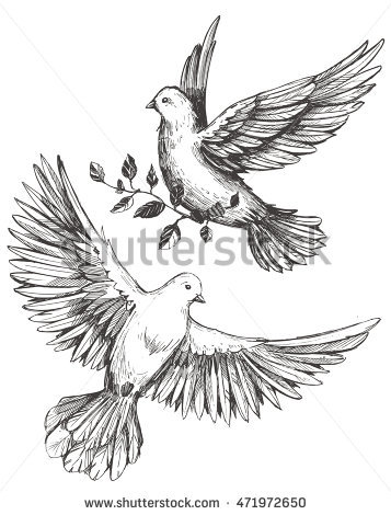 357x470 Drawn Dove Olive Branch Drawing - Dove Drawing Pictures