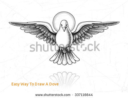 450x344 Easy Way To Draw A Dove Holy Spirit Dove Drawing Google Search - Dove Drawing Pictures
