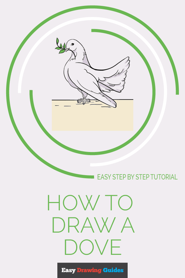 600x900 How To Draw A Dove In A Few Easy Steps Easy Drawing Guides - Dove Drawing Pictures