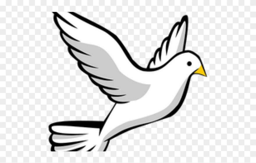 880x561 Peace Dove Clipart Catholic - Dove Drawing Pictures