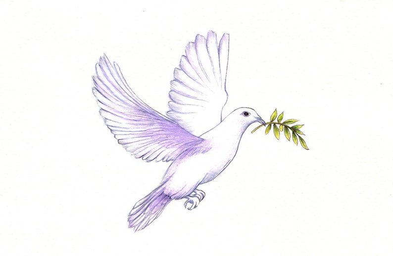 794x518 peace dove print digital print of a drawing available etsy - Dove Drawing Pictures