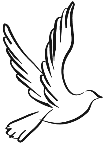 340x473 Collection Of Free Dove Vector Drawing Download On Ui Ex - Dove Drawing Pictures