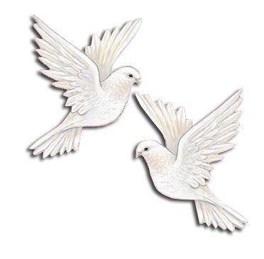 372x366 Drawn Dove Banner Drawing - Dove In Flight Drawing