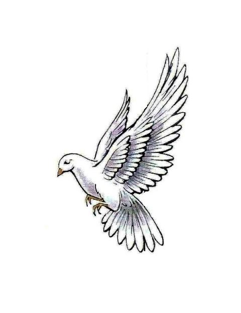 Dove In Flight Drawing at PaintingValley.com | Explore collection of ...