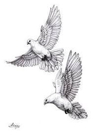 189x267 Image Result For Flying Dove Pencil Drawing Tattoos - Dove In Flight Drawing