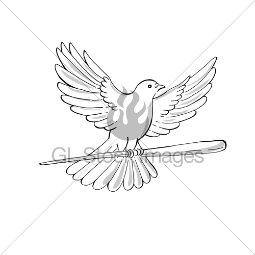 500x500 Pigeon Or Dove Flying With Cane Drawing Gl Stock Images - Dove In Flight Drawing
