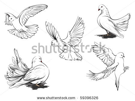 450x336 Dove Clipart Pretty - Dove In Flight Drawing