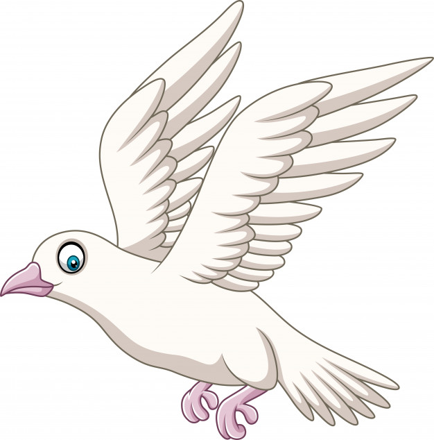 626x634 Dove Drawing Bird Cartoons - Dove In Flight Drawing