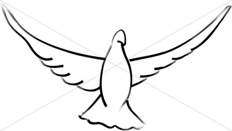 776x440 Dove Line Drawing Dove Clipart - Dove Line Drawing