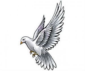 300x249 Beautiful Dove Tattoos With Meanings - Dove Tattoo Drawing