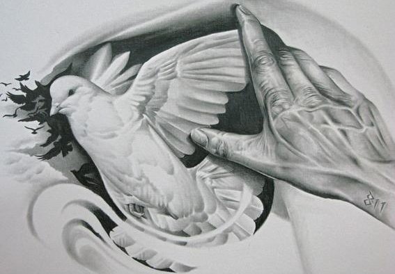 567x394 Amazing Dove Tattoo With Hand Sketch - Dove Tattoo Drawing