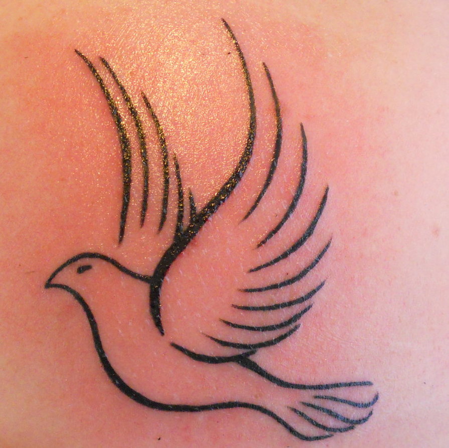 895x893 Dove Tattoo Designs Best Tattoos Designs - Dove Tattoo Drawing