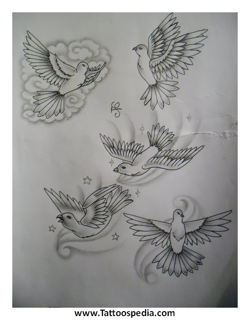 508x650 Dove Tattoo Designs For Men - Dove Tattoo Drawing