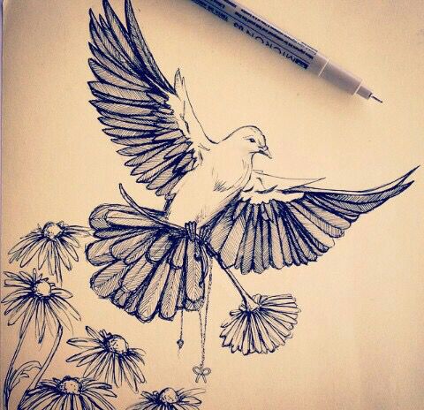 480x464 Dove Drawing The Art Of Tattoos Tattoos, Dove Tattoo Design - Dove Tattoo Drawing