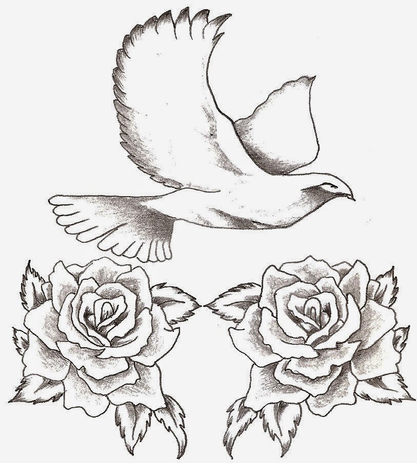 813x904 Free Amazing Styles Favorite Dove Tattoo Designs Images Photos Ideas - Dove Tattoo Drawing